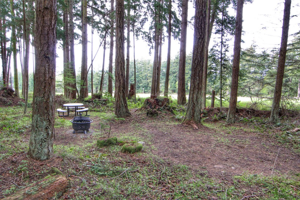 Mount Baker Farm